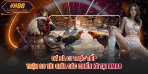 Đá gà c1 trực tiếp