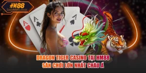 Dragon tiger casino