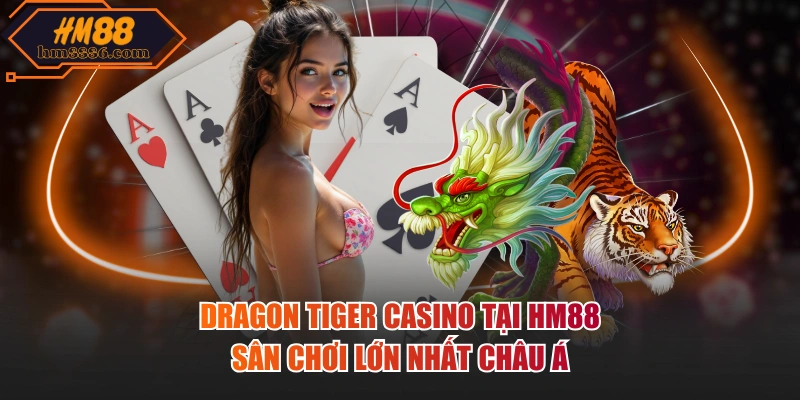 Dragon tiger casino