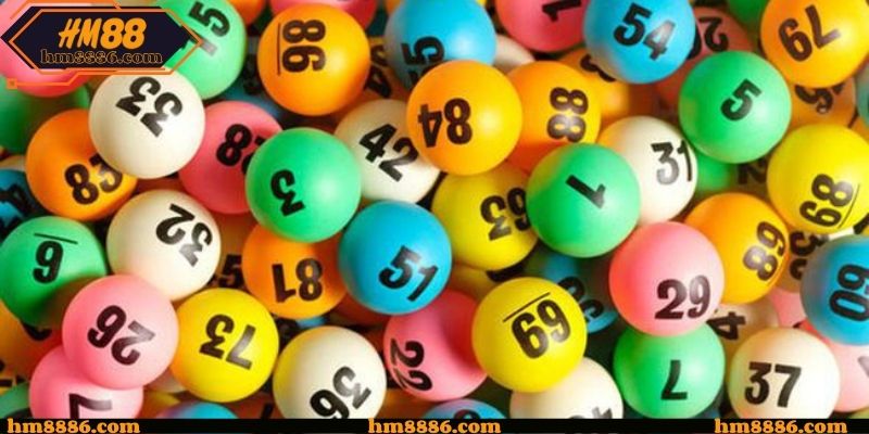 Thói quen theo dõi của hội viên lâu năm