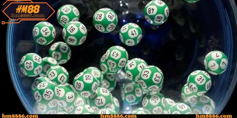 Thói quen theo dõi của hội viên lâu năm