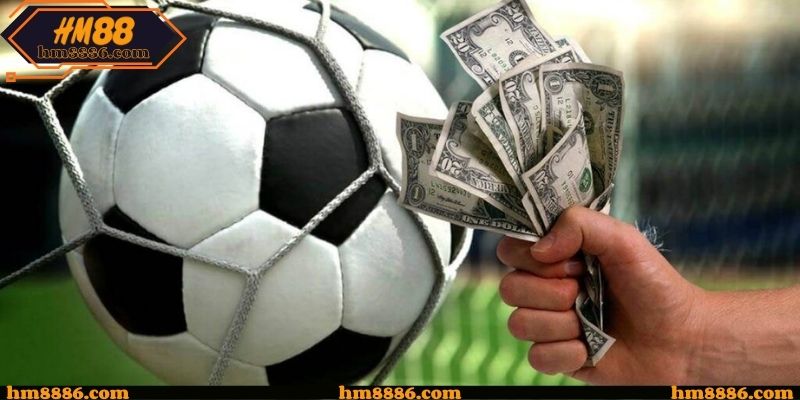 Thói quen theo dõi tỷ lệ của hội viên lâu năm