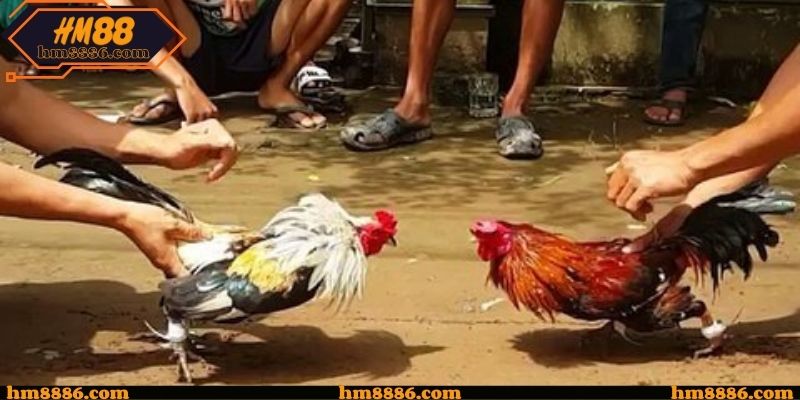 Yếu tố kỹ thuật ảnh hưởng chất lượng theo dõi