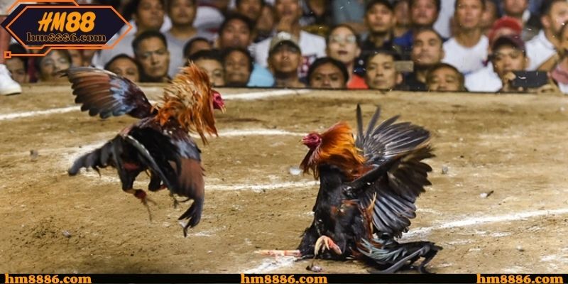 Yếu tố kỹ thuật ảnh hưởng chất lượng theo dõi